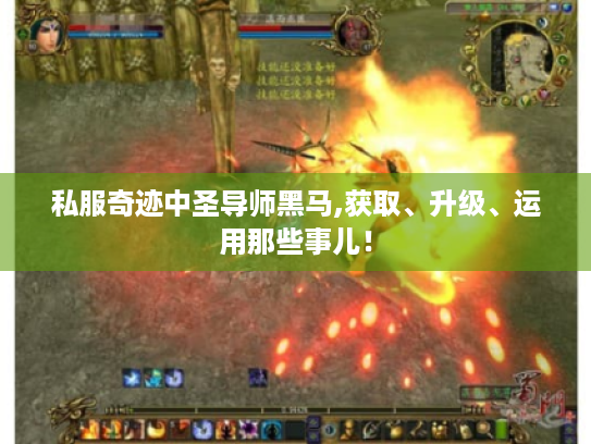 私服奇迹中圣导师黑马,获取、升级、运用那些事儿! 私服奇迹中圣导师黑马,获取、升级、运用那些事儿!