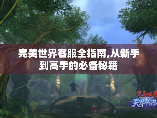 完美世界客服全指南,从新手到高手的必备秘籍 完美世界客服全指南,从新手到高手的必备秘籍