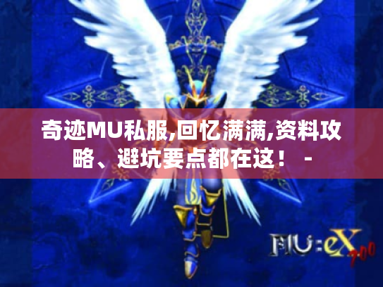 奇迹MU私服,回忆满满,资料攻略、避坑要点都在这! - 奇迹MU私服,回忆满满,资料攻略、避坑要点都在这! -