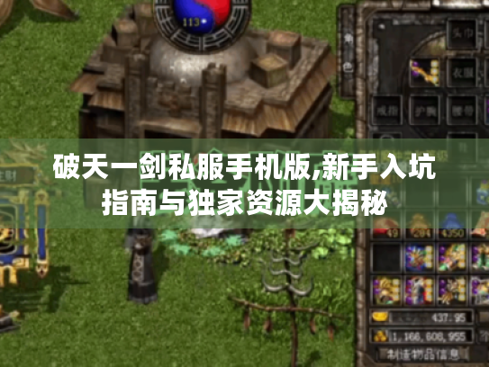 破天一剑私服手机版,新手入坑指南与独家资源大揭秘