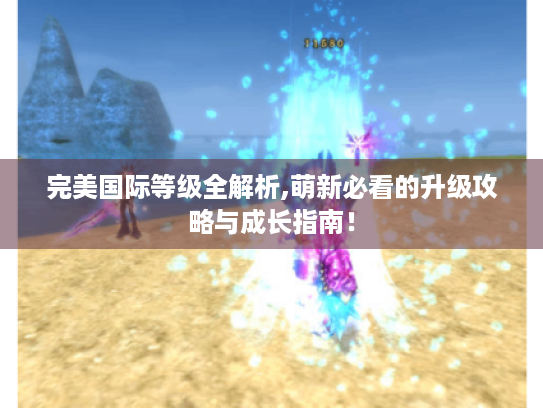 完美国际等级全解析,萌新必看的升级攻略与成长指南！