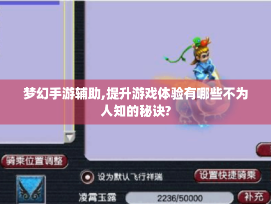 梦幻手游辅助,提升游戏体验有哪些不为人知的秘诀?