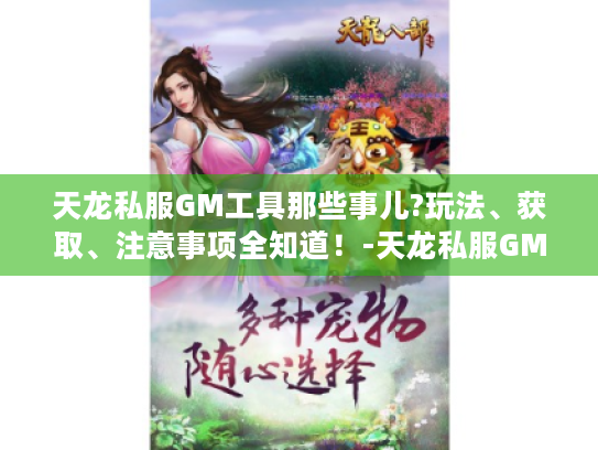 天龙私服GM工具那些事儿?玩法、获取、注意事项全知道！-天龙私服GM工具