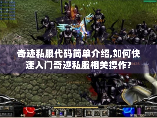 奇迹私服代码简单介绍,如何快速入门奇迹私服相关操作? 奇迹私服代码简单介绍,如何快速入门奇迹私服相关操作?