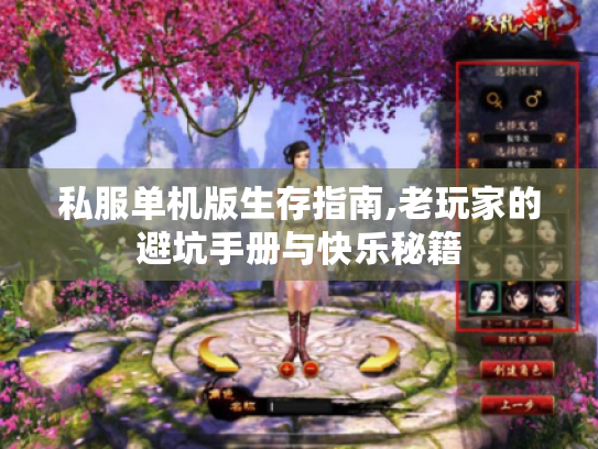 私服单机版生存指南,老玩家的避坑手册与快乐秘籍 私服单机版生存指南,老玩家的避坑手册与快乐秘籍