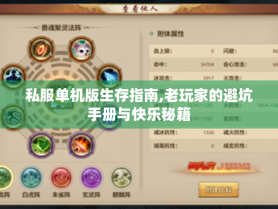 私服单机版生存指南,老玩家的避坑手册与快乐秘籍 私服单机版生存指南,老玩家的避坑手册与快乐秘籍