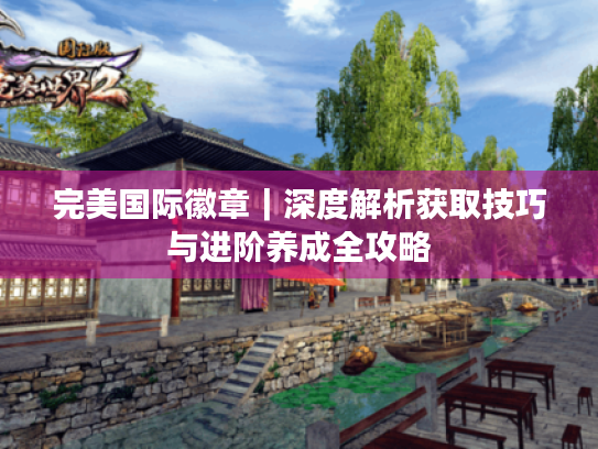 完美国际徽章|深度解析获取技巧与进阶养成全攻略 完美国际徽章|深度解析获取技巧与进阶养成全攻略