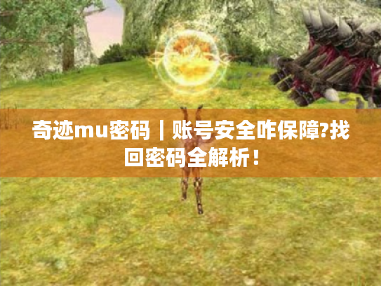 奇迹mu密码|账号安全咋保障?找回密码全解析! 奇迹mu密码|账号安全咋保障?找回密码全解析!