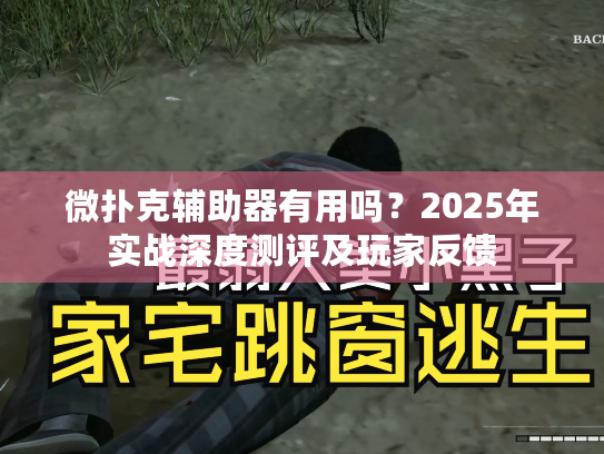 微扑克辅助器有用吗?2025年实战深度测评及玩家反馈 微扑克辅助器有用吗?2025年实战深度测评及玩家反馈