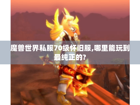 魔兽世界私服70级怀旧服,哪里能玩到最纯正的? 魔兽世界私服70级怀旧服,哪里能玩到最纯正的?