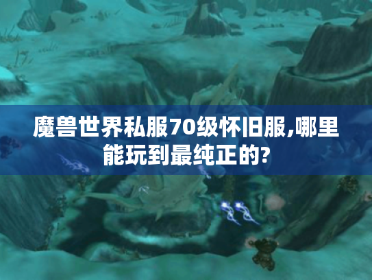 魔兽世界私服70级怀旧服,哪里能玩到最纯正的? 魔兽世界私服70级怀旧服,哪里能玩到最纯正的?