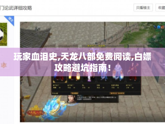 玩家血泪史,天龙八部免费阅读,白嫖攻略避坑指南！