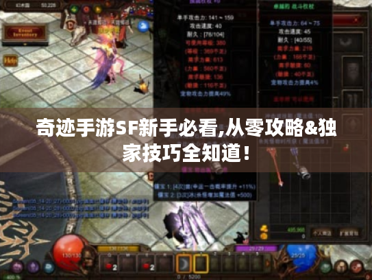 奇迹手游SF新手必看,从零攻略&独家技巧全知道！