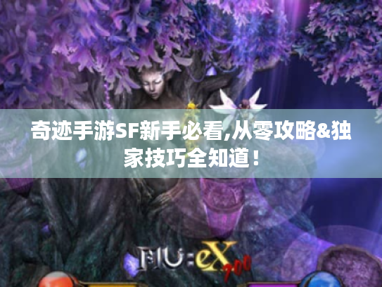 奇迹手游SF新手必看,从零攻略&独家技巧全知道！