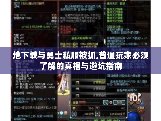 地下城与勇士私服被抓,普通玩家必须了解的真相与避坑指南