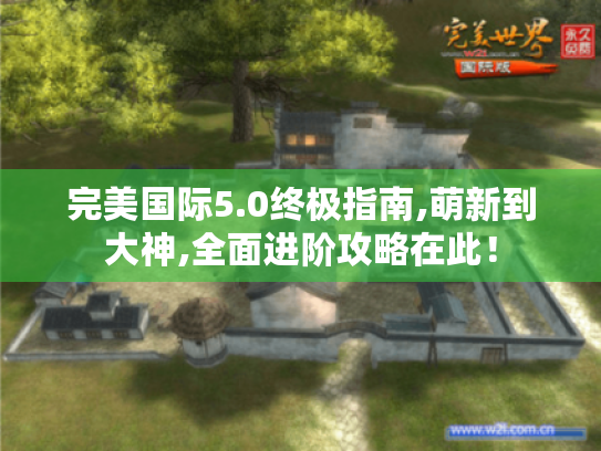 完美国际5.0终极指南,萌新到大神,全面进阶攻略在此! 完美国际5.0终极指南,萌新到大神,全面进阶攻略在此!