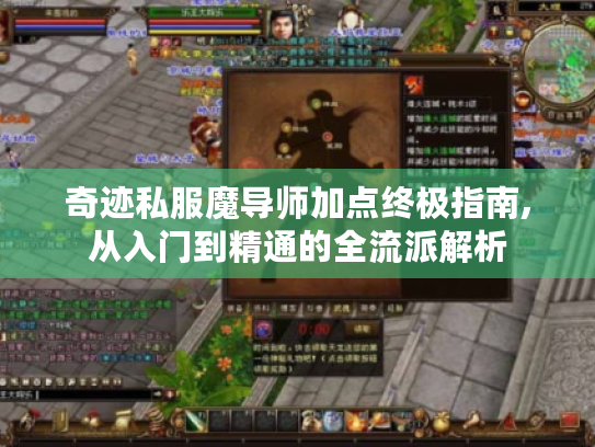 奇迹私服魔导师加点终极指南,从入门到精通的全流派解析 奇迹私服魔导师加点终极指南,从入门到精通的全流派解析