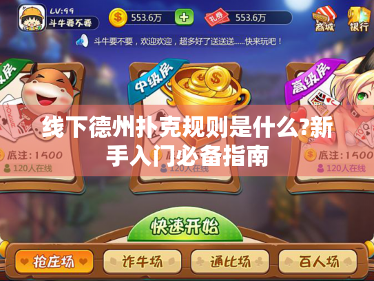 线下德州扑克规则是什么?新手入门必备指南 线下德州扑克规则是什么?新手入门必备指南