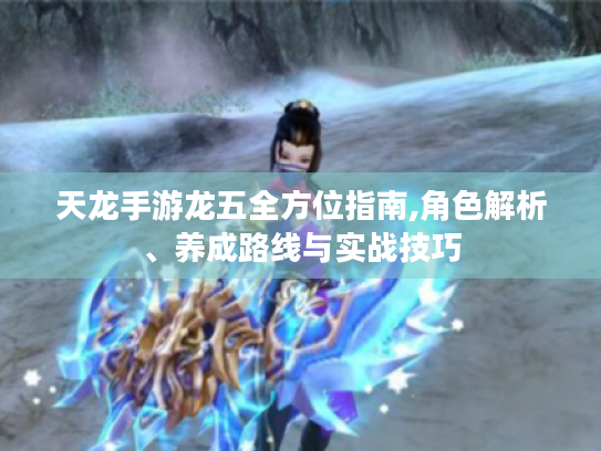 天龙手游龙五全方位指南,角色解析、养成路线与实战技巧 天龙手游龙五全方位指南,角色解析、养成路线与实战技巧