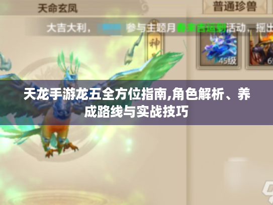 天龙手游龙五全方位指南,角色解析、养成路线与实战技巧 天龙手游龙五全方位指南,角色解析、养成路线与实战技巧
