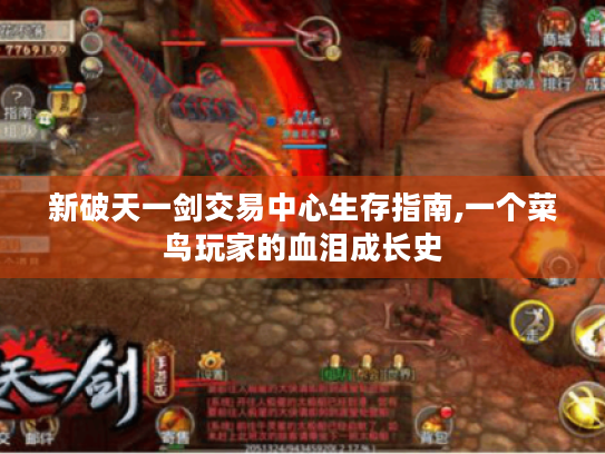 新破天一剑交易中心生存指南,一个菜鸟玩家的血泪成长史 新破天一剑交易中心生存指南,一个菜鸟玩家的血泪成长史