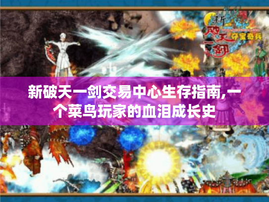 新破天一剑交易中心生存指南,一个菜鸟玩家的血泪成长史 新破天一剑交易中心生存指南,一个菜鸟玩家的血泪成长史