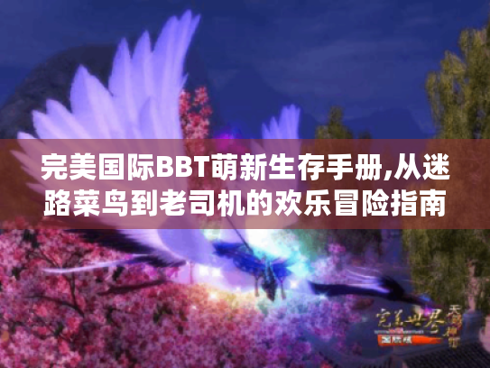 完美国际BBT萌新生存手册,从迷路菜鸟到老司机的欢乐冒险指南 完美国际BBT萌新生存手册,从迷路菜鸟到老司机的欢乐冒险指南