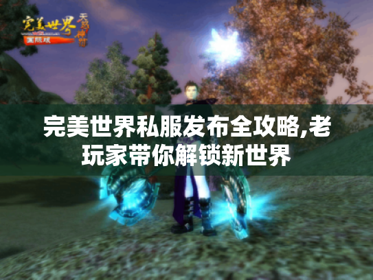 完美世界私服发布全攻略,老玩家带你解锁新世界 完美世界私服发布全攻略,老玩家带你解锁新世界
