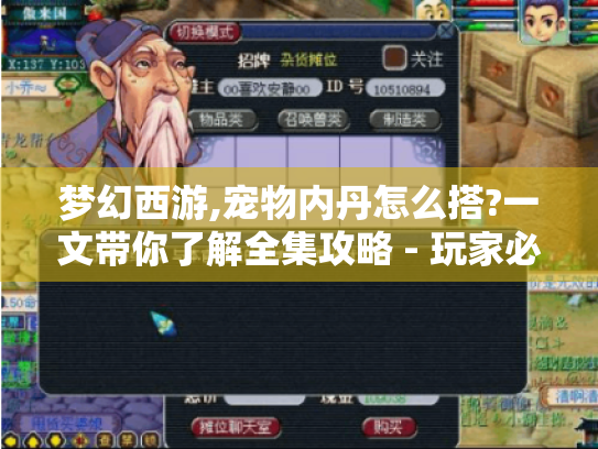 梦幻西游,宠物内丹怎么搭?一文带你了解全集攻略 - 玩家必看! 梦幻西游,宠物内丹怎么搭?一文带你了解全集攻略 - 玩家必看!