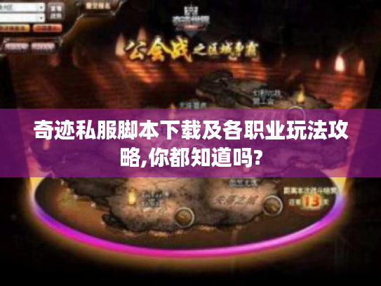 奇迹私服脚本下载及各职业玩法攻略,你都知道吗? 奇迹私服脚本下载及各职业玩法攻略,你都知道吗?