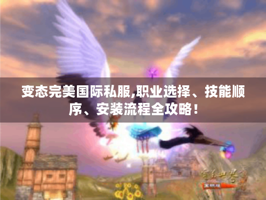 变态完美国际私服,职业选择、技能顺序、安装流程全攻略！