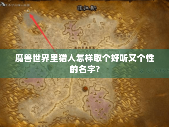 魔兽世界里猎人怎样取个好听又个性的名字? 魔兽世界里猎人怎样取个好听又个性的名字?
