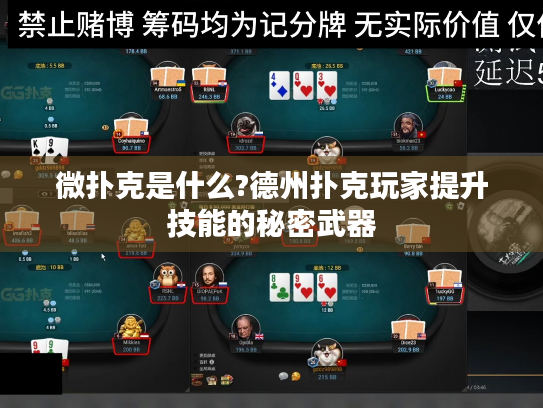 微扑克是什么?德州扑克玩家提升技能的秘密武器 微扑克是什么?德州扑克玩家提升技能的秘密武器