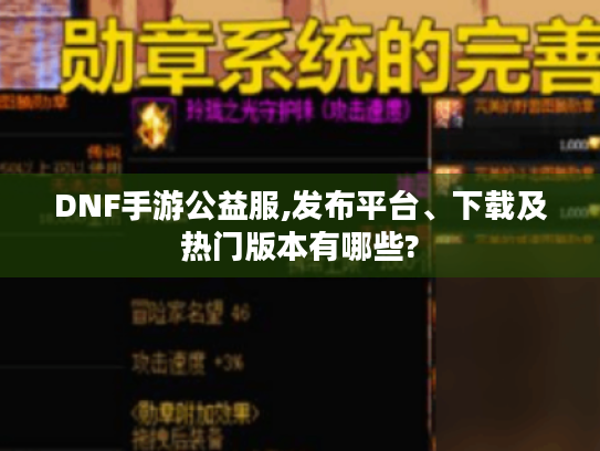 DNF手游公益服,发布平台、下载及热门版本有哪些? DNF手游公益服,发布平台、下载及热门版本有哪些?