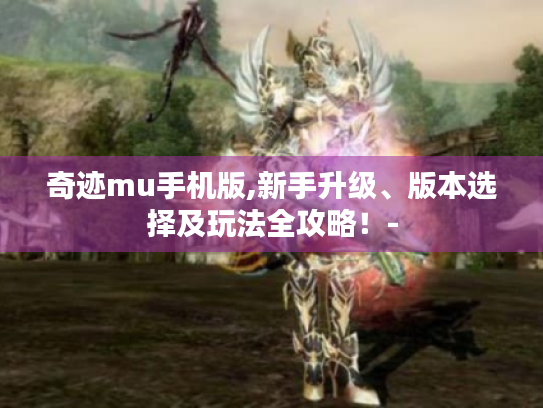 奇迹mu手机版,新手升级、版本选择及玩法全攻略!- 奇迹mu手机版,新手升级、版本选择及玩法全攻略!-