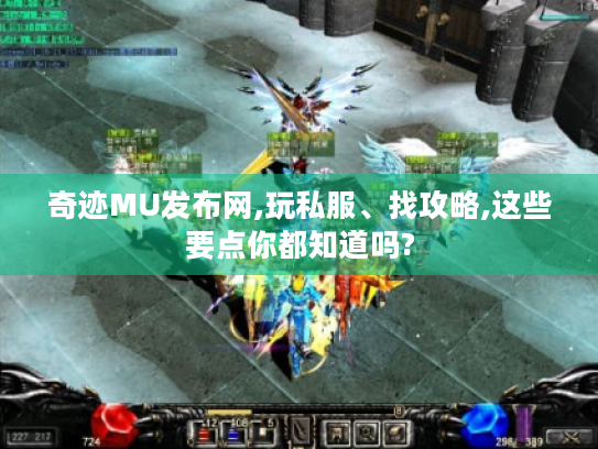 奇迹MU发布网,玩私服、找攻略,这些要点你都知道吗? 奇迹MU发布网,玩私服、找攻略,这些要点你都知道吗?