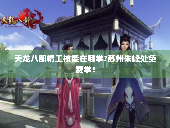 天龙八部精工技能在哪学?苏州朱峰处免费学! 天龙八部精工技能在哪学?苏州朱峰处免费学!