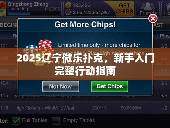 2025辽宁微乐扑克,新手入门完整行动指南 2025辽宁微乐扑克,新手入门完整行动指南