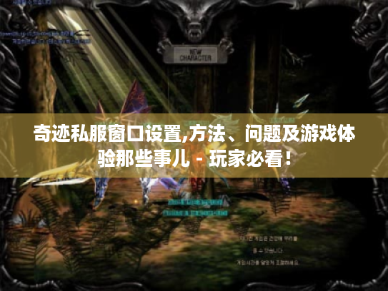 奇迹私服窗口设置,方法、问题及游戏体验那些事儿 - 玩家必看！