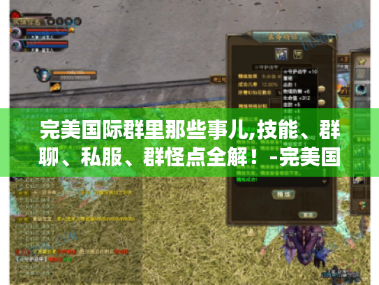 完美国际群里那些事儿,技能、群聊、私服、群怪点全解!-完美国际群 完美国际群里那些事儿,技能、群聊、私服、群怪点全解!-完美国际群