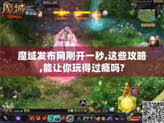 魔域发布网刚开一秒,这些攻略,能让你玩得过瘾吗? 魔域发布网刚开一秒,这些攻略,能让你玩得过瘾吗?