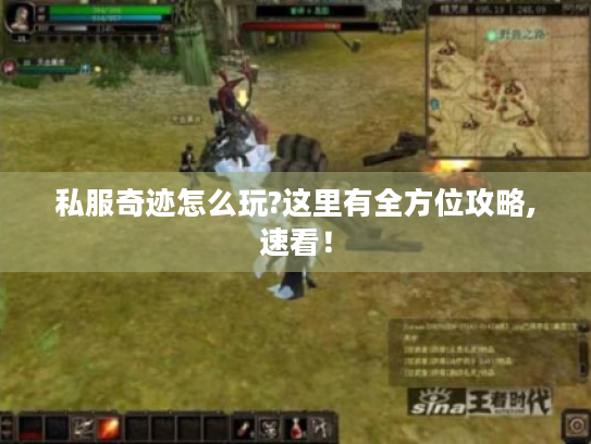 私服奇迹怎么玩?这里有全方位攻略,速看！