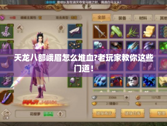 天龙八部峨眉怎么堆血?老玩家教你这些门道！