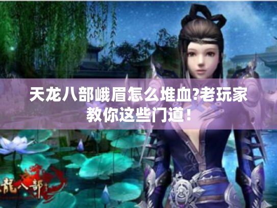 天龙八部峨眉怎么堆血?老玩家教你这些门道！
