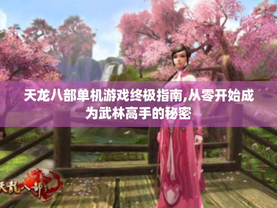 天龙八部单机游戏终极指南,从零开始成为武林高手的秘密