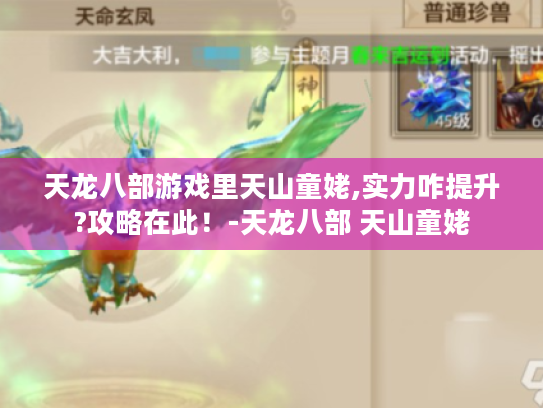 天龙八部游戏里天山童姥,实力咋提升?攻略在此!-天龙八部 天山童姥 天龙八部游戏里天山童姥,实力咋提升?攻略在此!-天龙八部 天山童姥