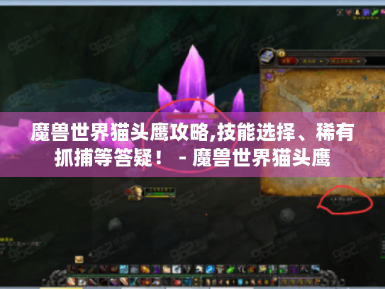 魔兽世界猫头鹰攻略,技能选择、稀有抓捕等答疑! - 魔兽世界猫头鹰 魔兽世界猫头鹰攻略,技能选择、稀有抓捕等答疑! - 魔兽世界猫头鹰