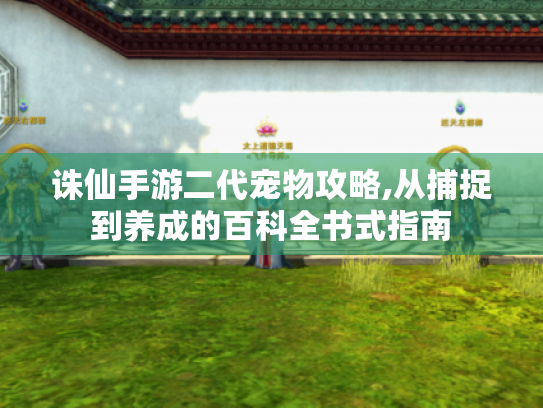 诛仙手游二代宠物攻略,从捕捉到养成的百科全书式指南 诛仙手游二代宠物攻略,从捕捉到养成的百科全书式指南