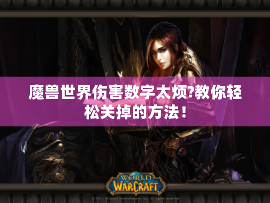 魔兽世界伤害数字太烦?教你轻松关掉的方法! 魔兽世界伤害数字太烦?教你轻松关掉的方法!