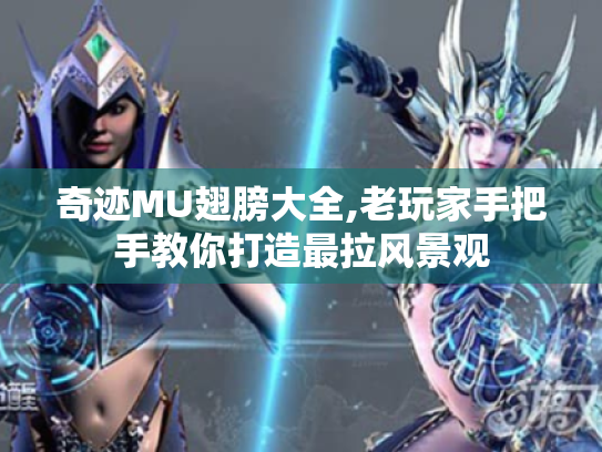 奇迹MU翅膀大全,老玩家手把手教你打造最拉风景观 奇迹MU翅膀大全,老玩家手把手教你打造最拉风景观